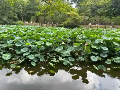 御髪神社の周辺