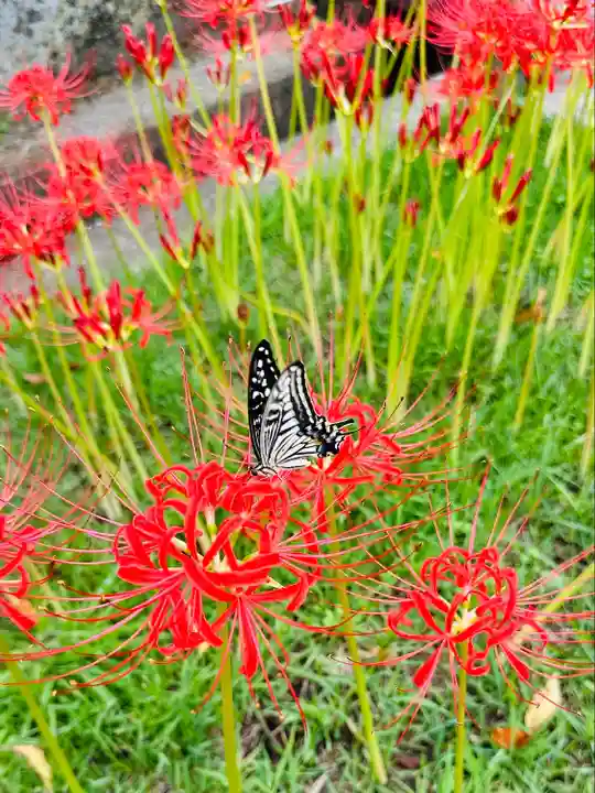 横浜 西方寺(神奈川県)
