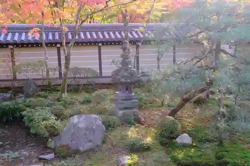 禅林寺（永観堂）の庭園