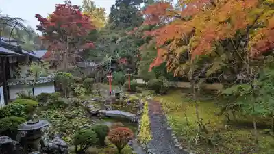 十輪寺(京都府)