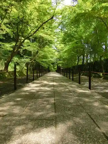 光明寺（粟生光明寺）のその他建物