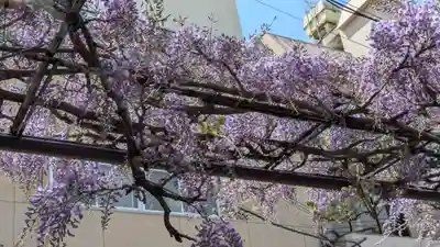 妙壽禅寺(妙寿寺)(大阪府)