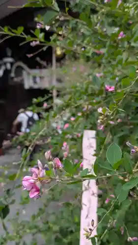 梨木神社(京都府)