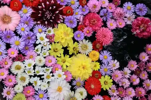 大鏑神社の手水舎