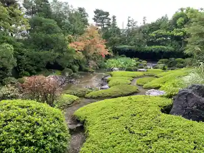 退蔵院(京都府)