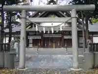 新琴似神社の鳥居