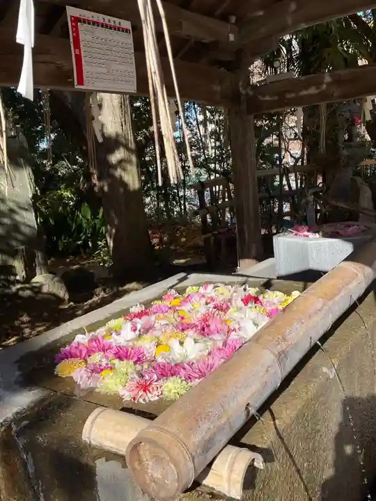 紅葉八幡宮(福岡県)