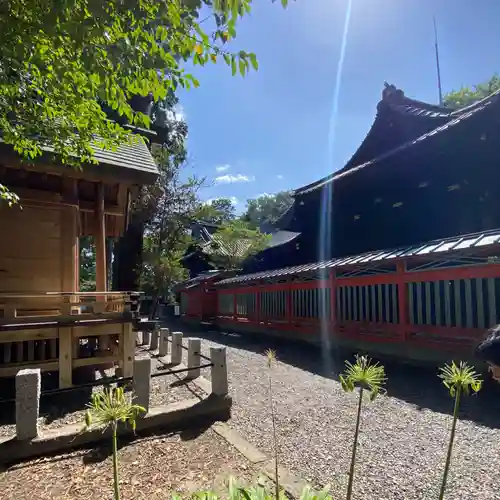 玉前神社(千葉県)