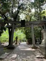 赤坂氷川神社の鳥居