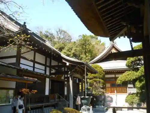 報国寺の本殿・本堂