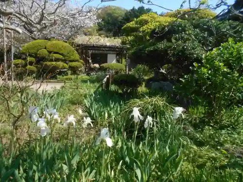 極楽寺（霊鷲山感應院極楽律寺）の庭園