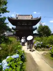 般若寺 ❁﻿コスモス寺❁(奈良県)