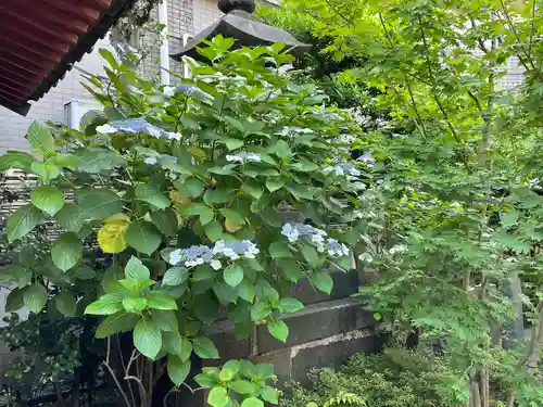 成就院(東京都)