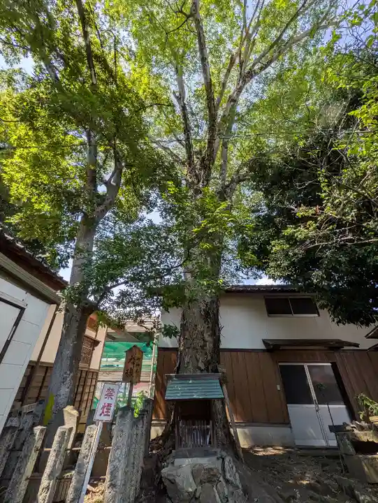 御霊神社(京都府)