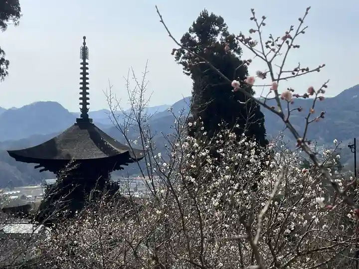 国宝 大法寺(長野県)