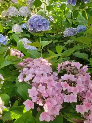 本郷氷川神社(東京都)