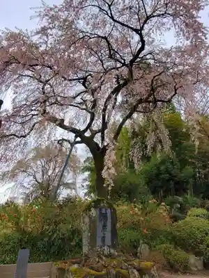 上合寺(福島県)