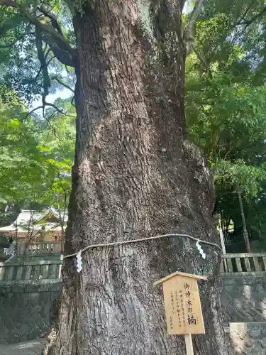 五所神社の{uncategorized: "未分類", other: "その他", undefined: "問題あり", building: "その他建物", grave: "お墓", sacred_gate: "鳥居", guardian: "狛犬", statue: "像", buddha: "仏像", history: "歴史", nature: "自然", garden: "庭園", animal: "動物", pagoda: "塔", temizu: "手水舎", mountain_gate: "山門・神門", sanctuary: "本殿・本堂", subordinate: "末社・摂社", art: "芸術", scenery: "景色", jizo: "地蔵", ema: "絵馬", goshuin: "御朱印", omikuji: "おみくじ", items: "授与品その他", amulet: "お守り", goshuincho: "御朱印帳", eats: "食事", festival: "お祭り", votive_dance: "神楽", shichigosan: "七五三参", wedding: "結婚式", experience: "体験その他", initially: "初詣", around: "周辺", anti_infection: "感染症対策"}