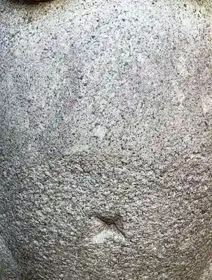 柳森神社の狛犬