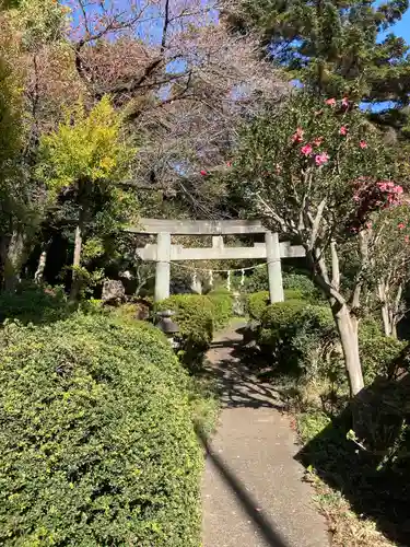 武州白子熊野神社の鳥居