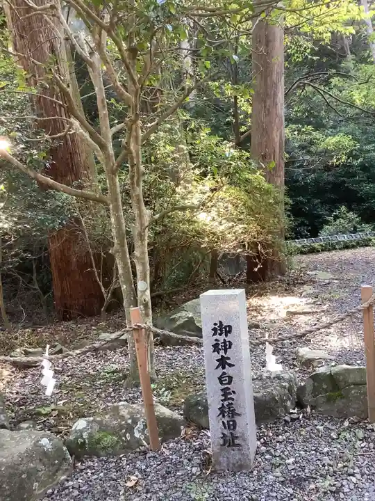 美濃國一宮 南宮大社のその他建物