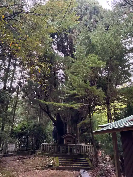 浄蓮庵(徳島県)
