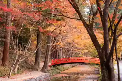 小國神社(静岡県)