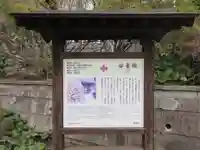 安養院 (田代寺)の歴史