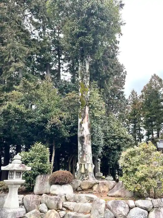 日吉神社(滋賀県)