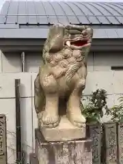 徳島眉山天神社の狛犬