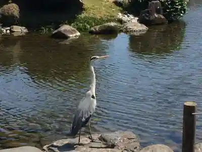 出水神社(熊本県)