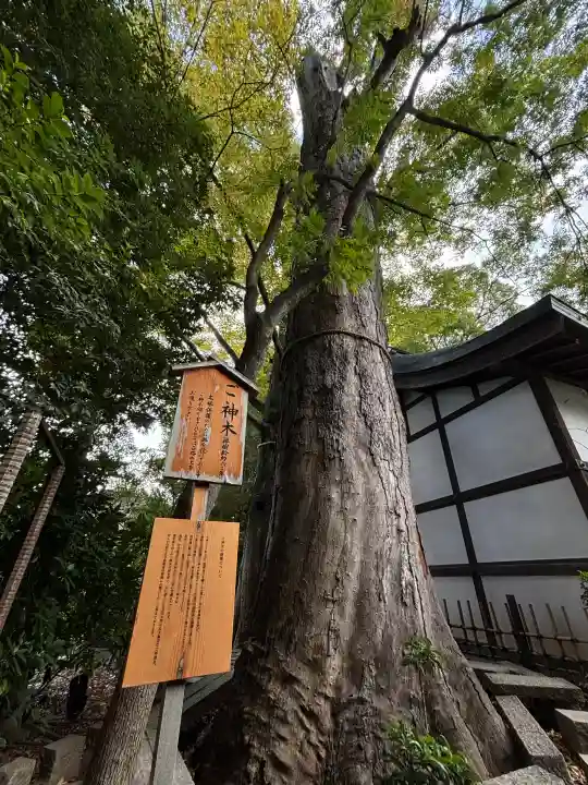 川越氷川神社の{uncategorized: "未分類", other: "その他", undefined: "問題あり", building: "その他建物", grave: "お墓", sacred_gate: "鳥居", guardian: "狛犬", statue: "像", buddha: "仏像", history: "歴史", nature: "自然", garden: "庭園", animal: "動物", pagoda: "塔", temizu: "手水舎", mountain_gate: "山門・神門", sanctuary: "本殿・本堂", subordinate: "末社・摂社", art: "芸術", scenery: "景色", jizo: "地蔵", ema: "絵馬", goshuin: "御朱印", omikuji: "おみくじ", items: "授与品その他", amulet: "お守り", goshuincho: "御朱印帳", eats: "食事", festival: "お祭り", votive_dance: "神楽", shichigosan: "七五三参", wedding: "結婚式", experience: "体験その他", initially: "初詣", around: "周辺", anti_infection: "感染症対策"}