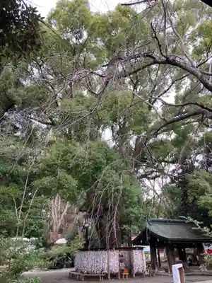 平塚八幡宮(神奈川県)