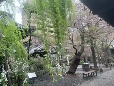 頂法寺（六角堂）の{uncategorized: "未分類", other: "その他", undefined: "問題あり", building: "その他建物", grave: "お墓", sacred_gate: "鳥居", guardian: "狛犬", statue: "像", buddha: "仏像", history: "歴史", nature: "自然", garden: "庭園", animal: "動物", pagoda: "塔", temizu: "手水舎", mountain_gate: "山門・神門", sanctuary: "本殿・本堂", subordinate: "末社・摂社", art: "芸術", scenery: "景色", jizo: "地蔵", ema: "絵馬", goshuin: "御朱印", omikuji: "おみくじ", items: "授与品その他", amulet: "お守り", goshuincho: "御朱印帳", eats: "食事", festival: "お祭り", votive_dance: "神楽", shichigosan: "七五三参", wedding: "結婚式", experience: "体験その他", initially: "初詣", around: "周辺", anti_infection: "感染症対策"}