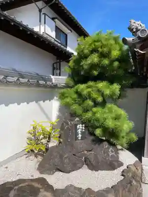 瑞雲寺のその他建物