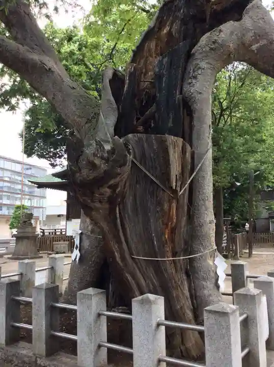 阿邪訶根神社の自然