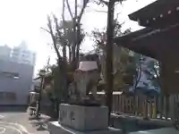 お三の宮日枝神社の狛犬