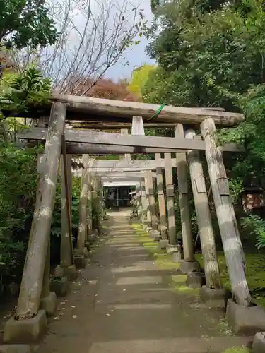 厳嶋神社の鳥居