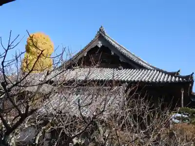 穴太寺(京都府)