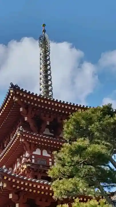 薬師寺(奈良県)