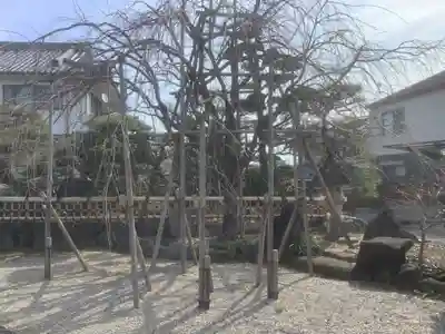 天聖寺(愛知県)