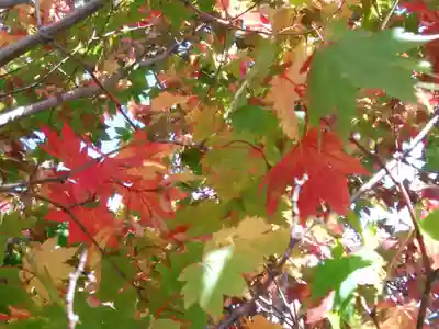 大雪山層雲峡神社(北海道)