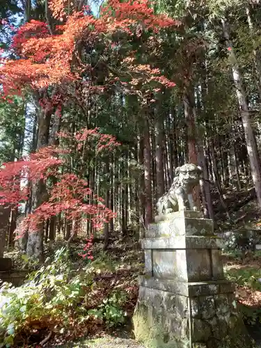 戸隠神社宝光社の狛犬