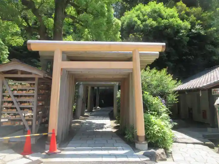 銭洗弁財天宇賀福神社(神奈川県)