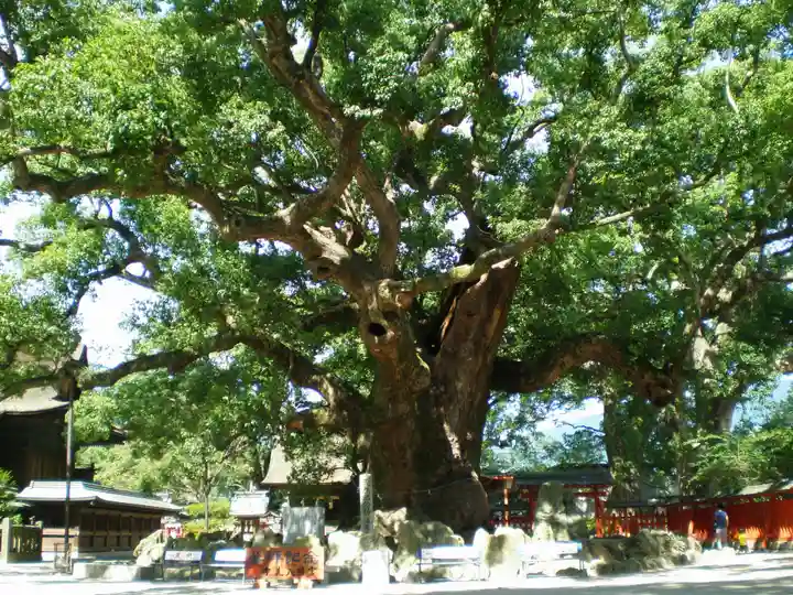 宇美八幡宮の自然