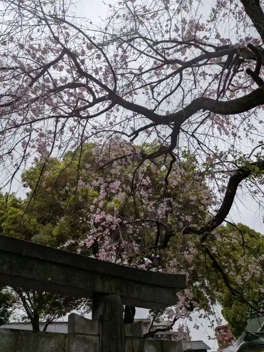荻窪白山神社(東京都)