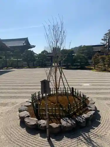 仁和寺の庭園