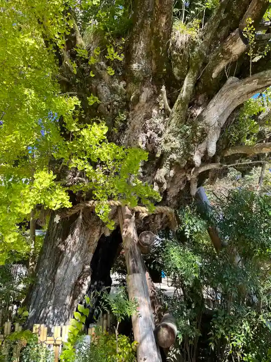 葛城一言主神社(奈良県)