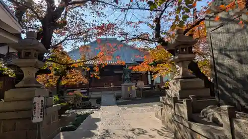 墨染寺（桜寺）(京都府)