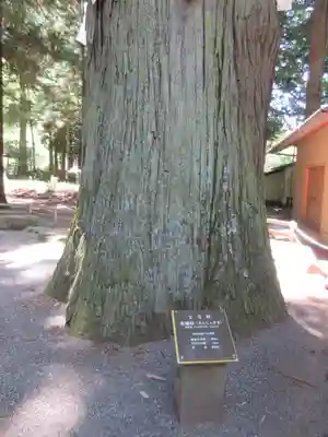 河口浅間神社のその他建物